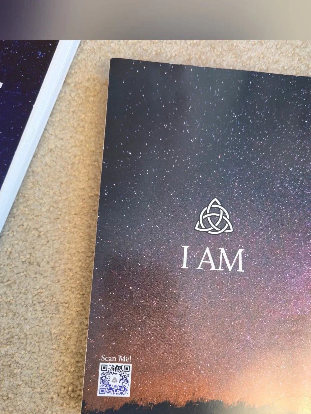 PROJECT 369 Manifestation Planner And Book David Kasneci New